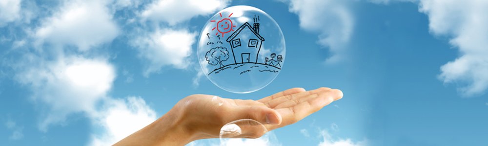 Carried Out Projects